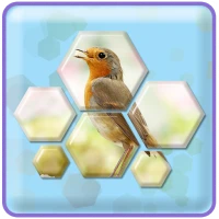 Hexa Jigsaw Puzzle