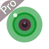 iCSee Pro