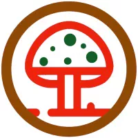 Forest Mushroom Identification