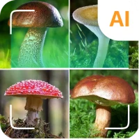 Mushroom identifier
