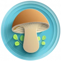 AI Mushroom Identifier