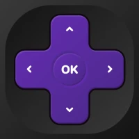 Universal TV Remote Control