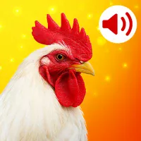 Animal Sounds