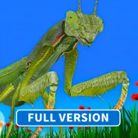Bugs & Insects (Full version)