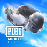 PUBG MOBILE FLASH